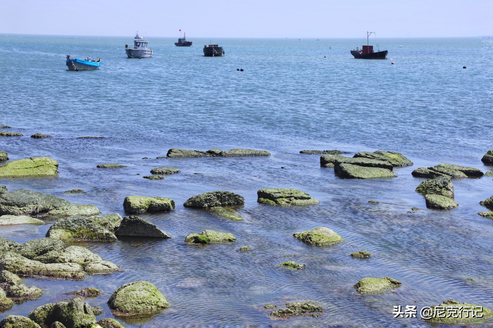 龙口的桑岛是活火山吗,龙口最大岛屿