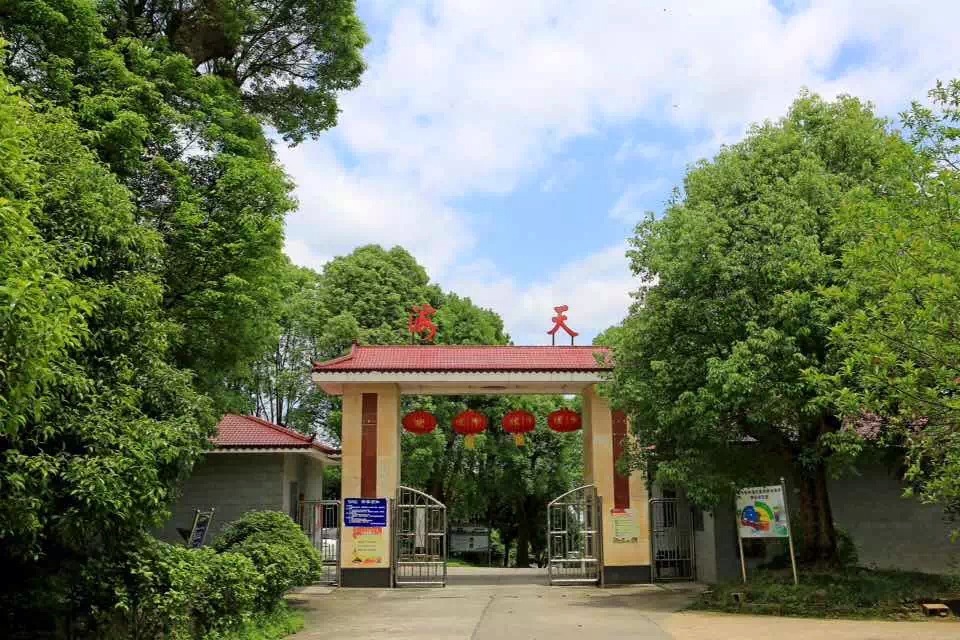 美丽乡村：室外桃源休闲山庄，一步一景美如画