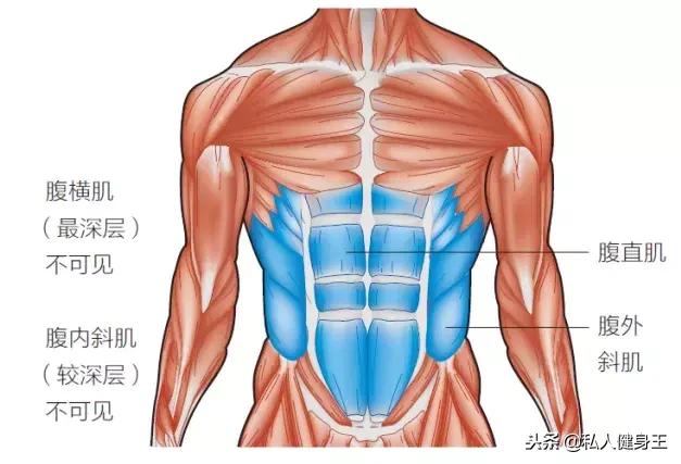 最帅的腹肌教程和最大的腹肌教程,最虐腹肌的三个动作速成