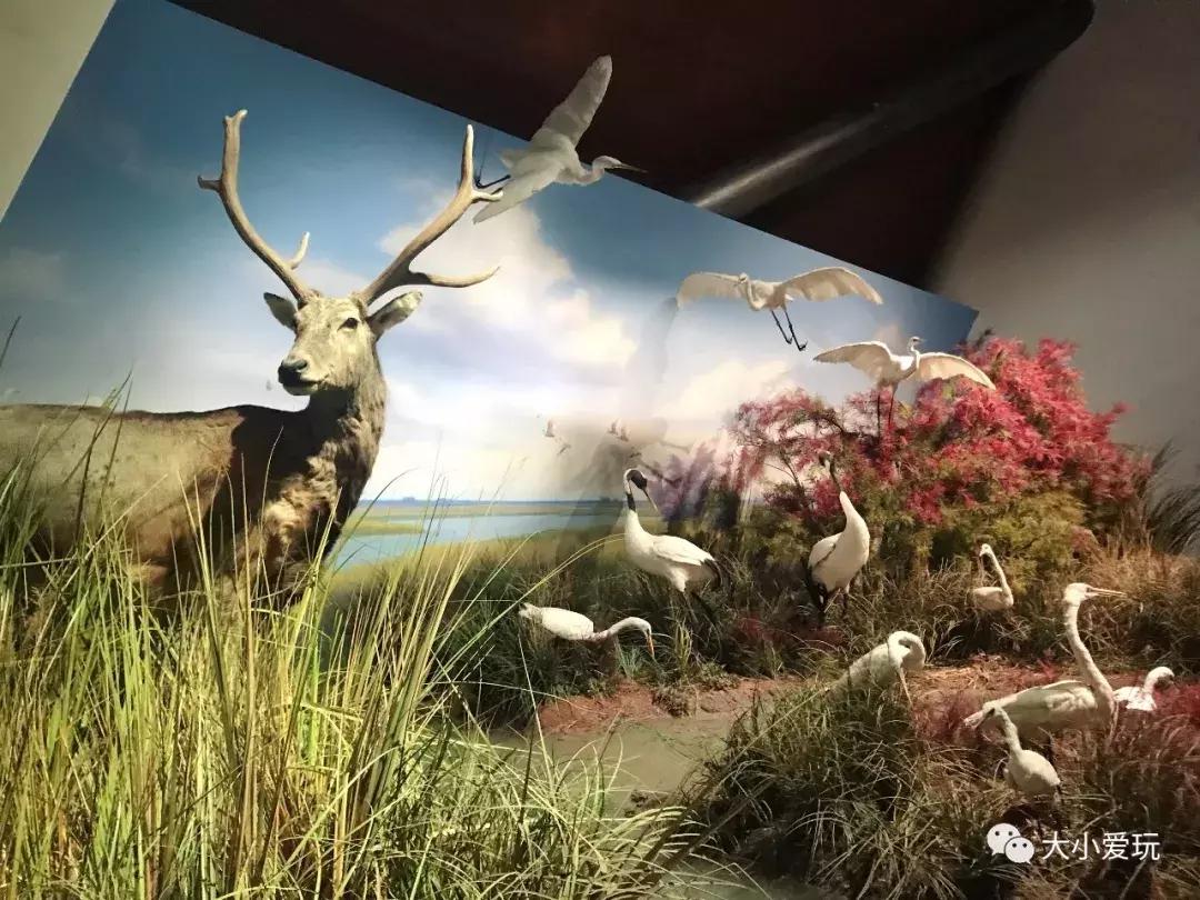 开放首日实探国家海洋博物馆，史上最抢手博物馆究竟长什么样