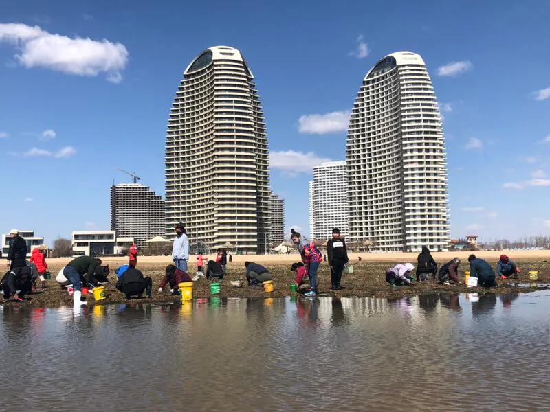 东戴河到底在哪,东戴河到底是个什么地方