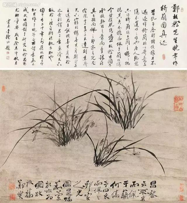 讲解郑板桥兰花画,郑板桥画兰花作品