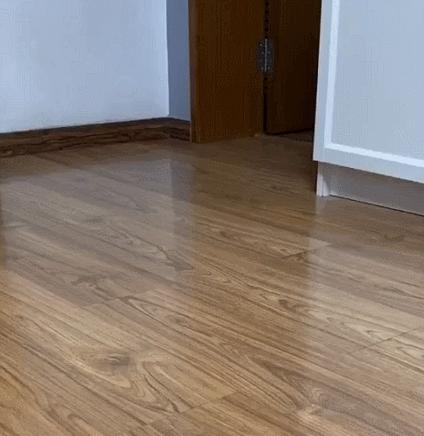 俄罗斯猫敢惹吗,俄罗斯猫有多凶猛