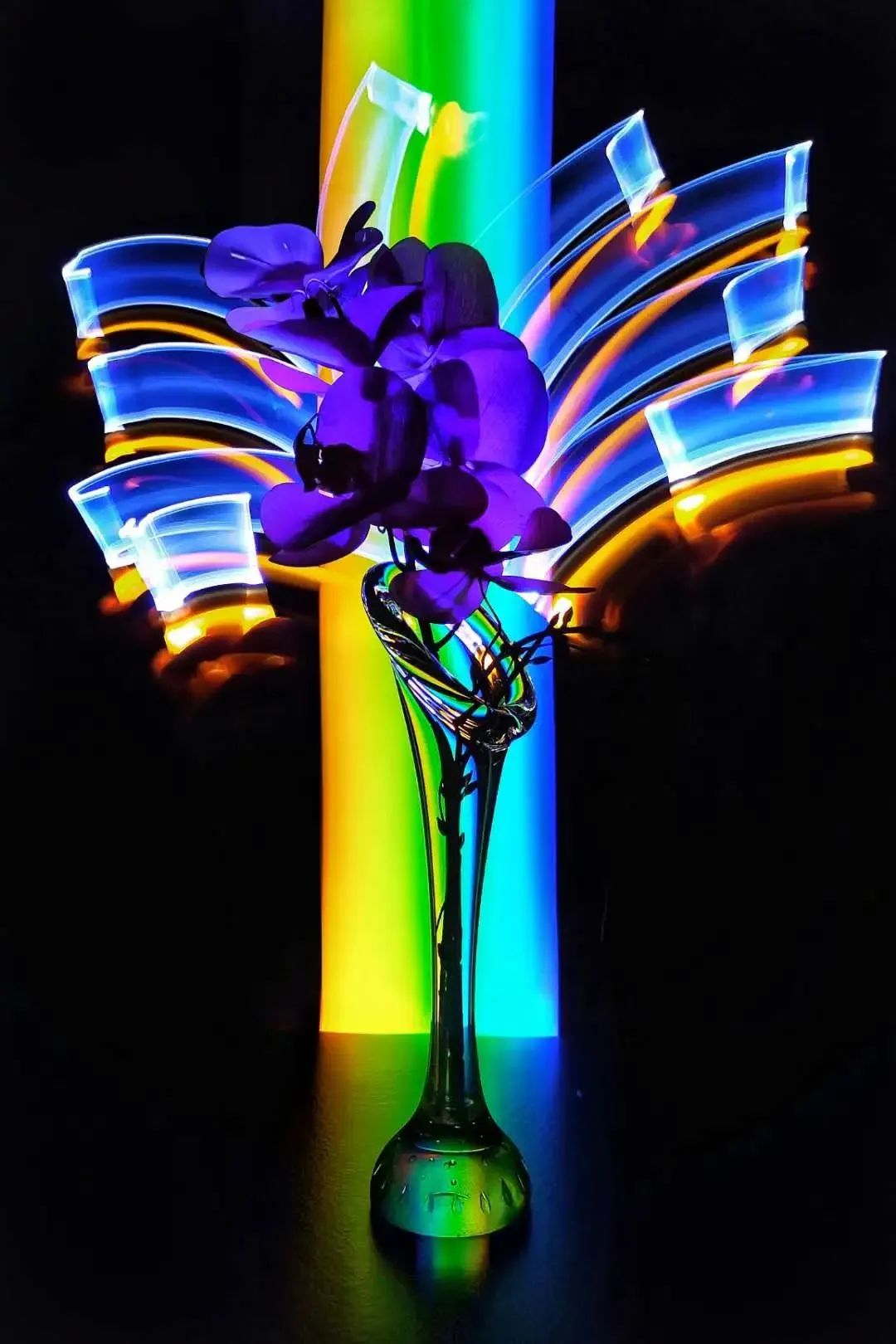 大家用手机拍出过什么好看的照片,赞别人的照片拍摄得好的句子