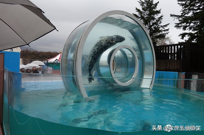 日本旅游工资流水单什么样,日本流水账式旅行