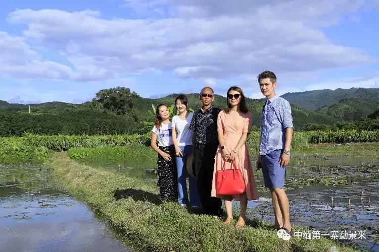 泰国顶级睡莲博士Dr.Nopchai版纳行，被勐景来圈粉