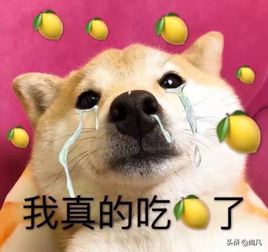 钻戒怎么挑选才不会被坑,钻石耐看实惠的钻戒要怎样挑选