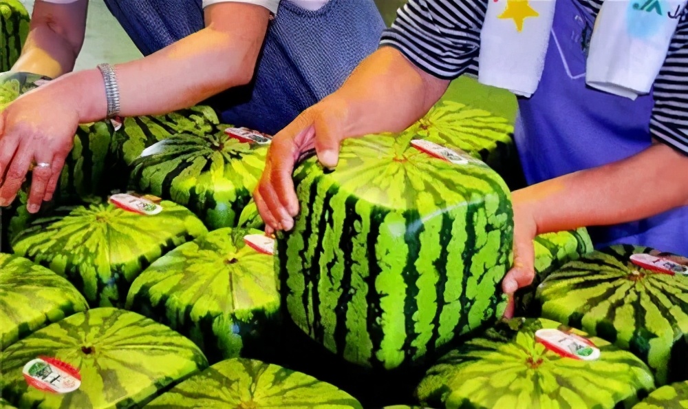 日本香蕉可以带皮吃吗,日本香蕉50元