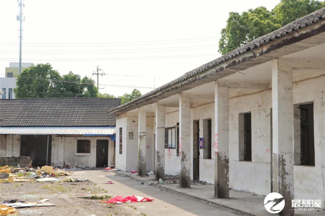 慈溪打听猫,慈溪要搬迁的村庄