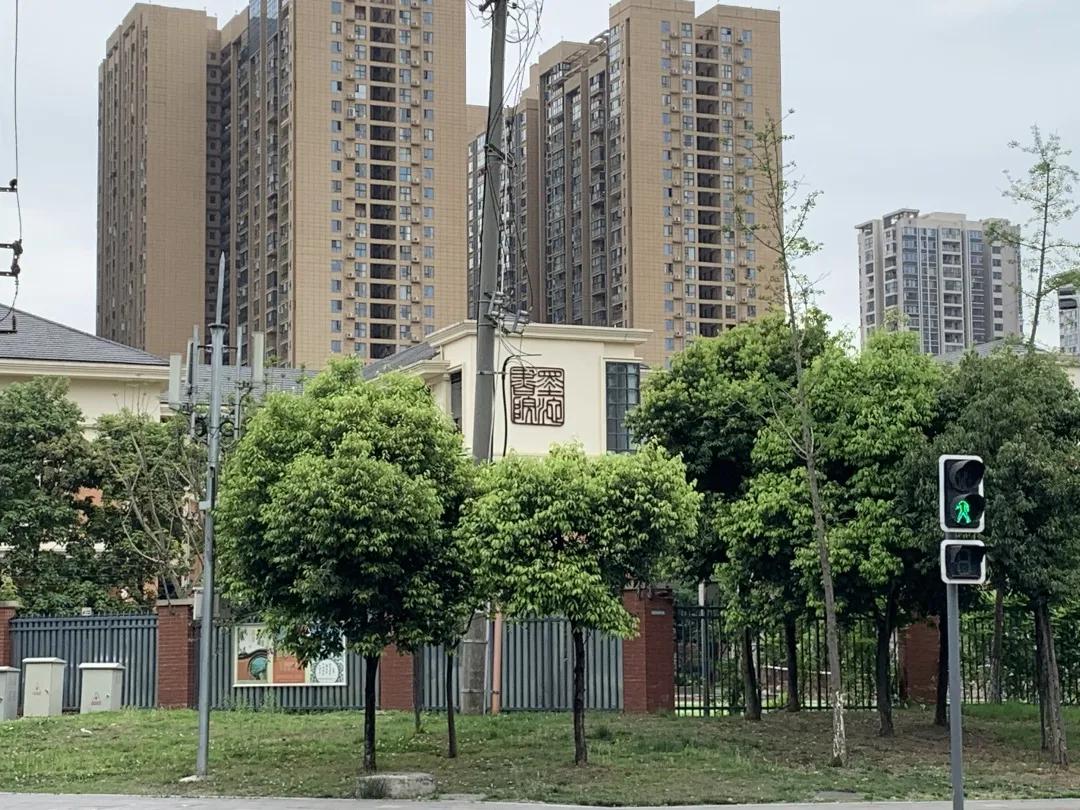 成都高新南区大源西土地拍卖,成都高新区大源天府五街土地拍卖