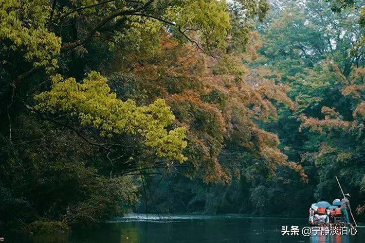 桂花是秋天的灵魂,桂花香是秋天的微醺感