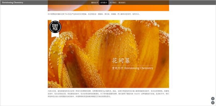 100个有趣的网站,国外小众创意网站排名榜