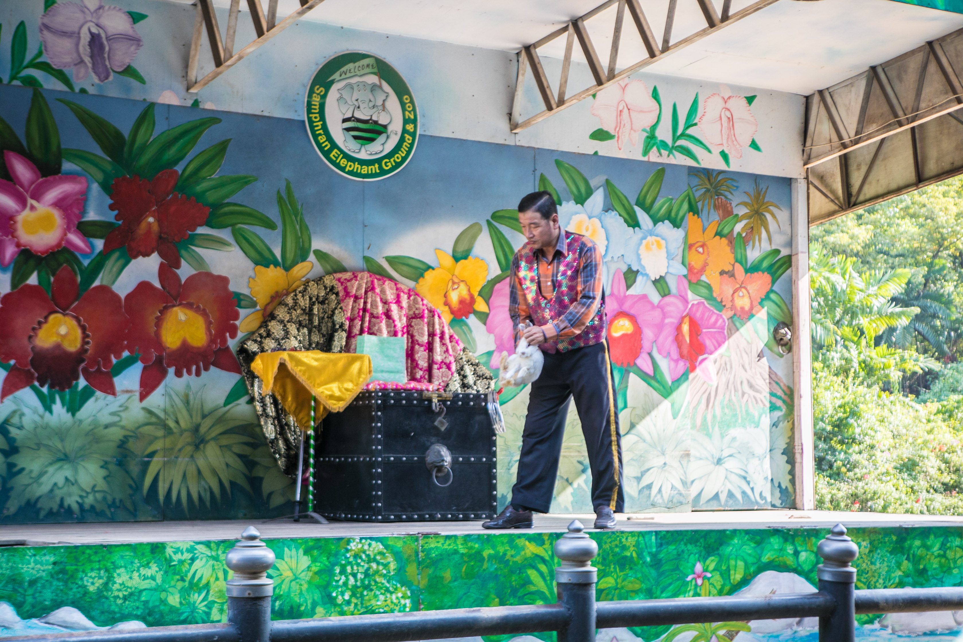 大象在泰国和印度象征着什么,大象是泰国的象征英语