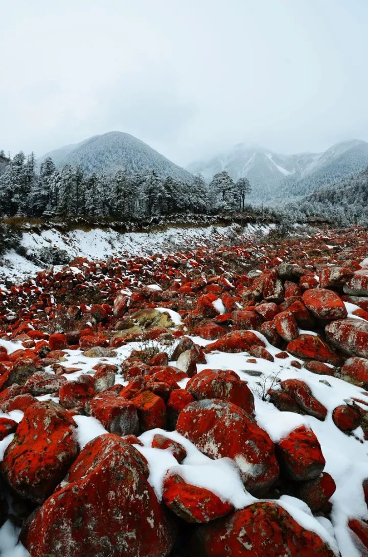 川西最美景点排行榜,四川冬季除了川西能去哪里