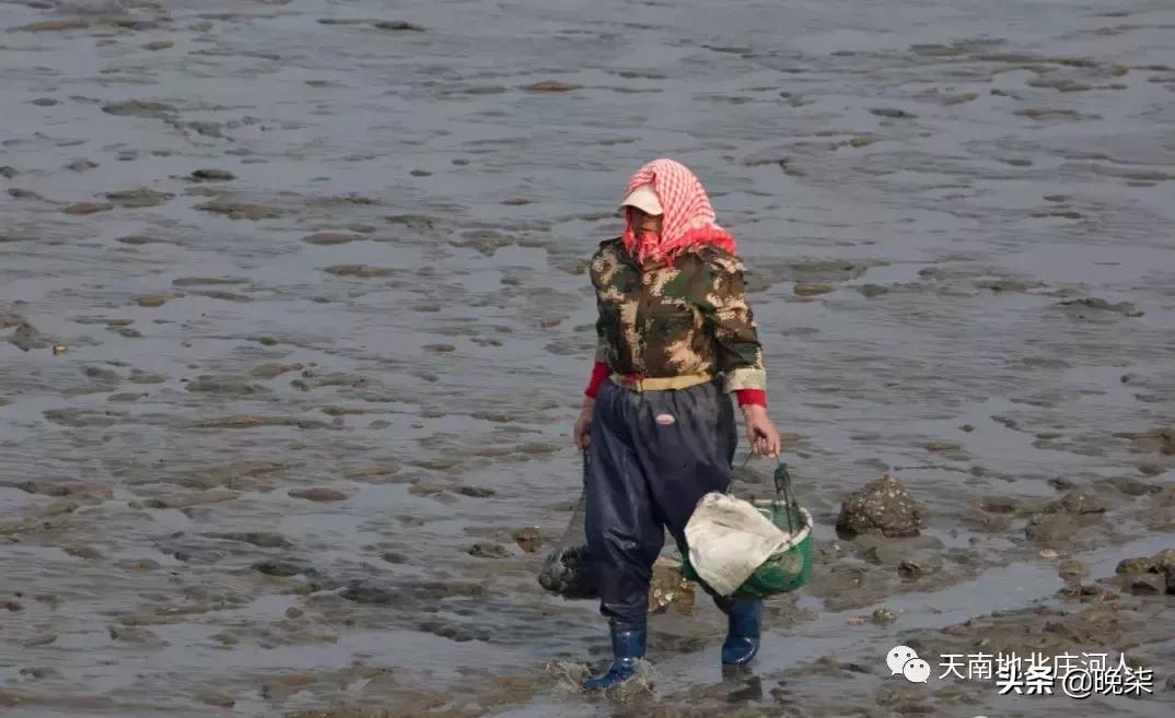 大连庄河赶海排名第一名,庄河赶海网红视频