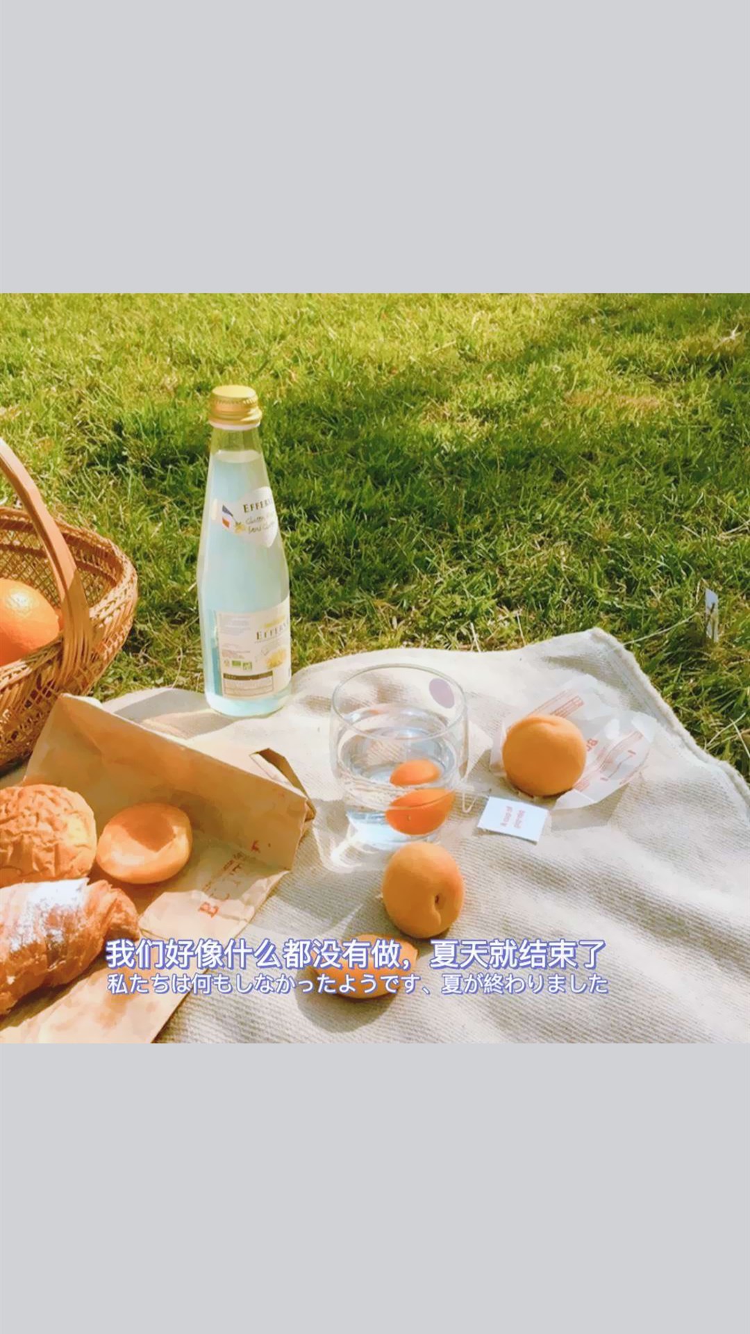 干净有质感的文字手机壁纸,多彩多色花超清壁纸