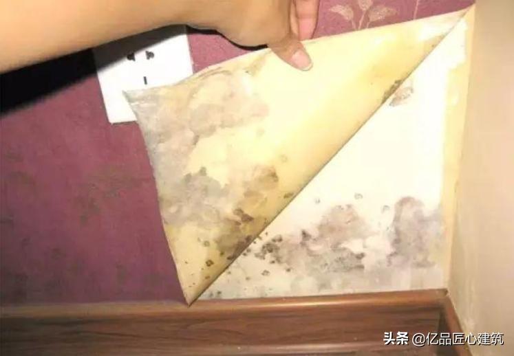 墙纸发霉的原因及其处理方式,墙纸发霉原因墙纸发霉处理方法