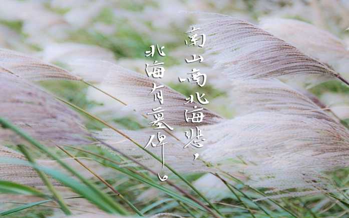 交流战疫“云会议”上狂飙英语，没有翻译，还有你不知道的钟山南