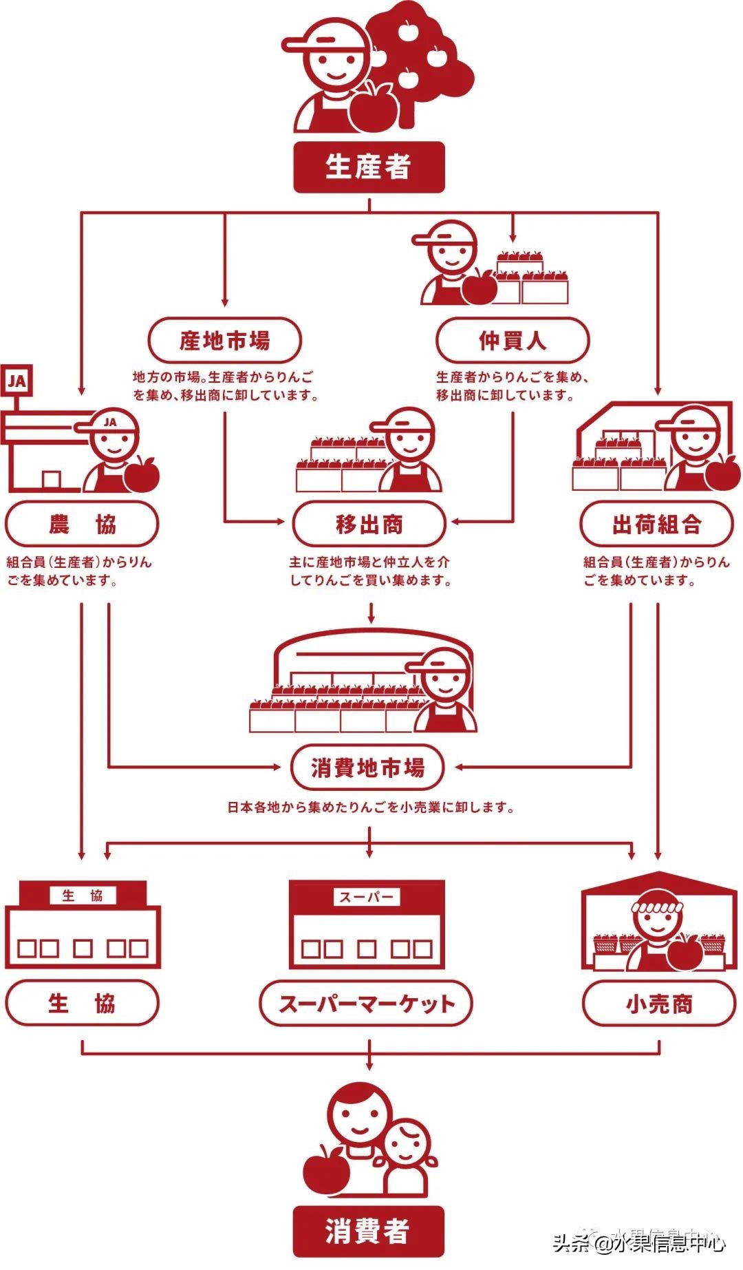 日本苹果种植现状,为什么日本苹果质量比中国的好