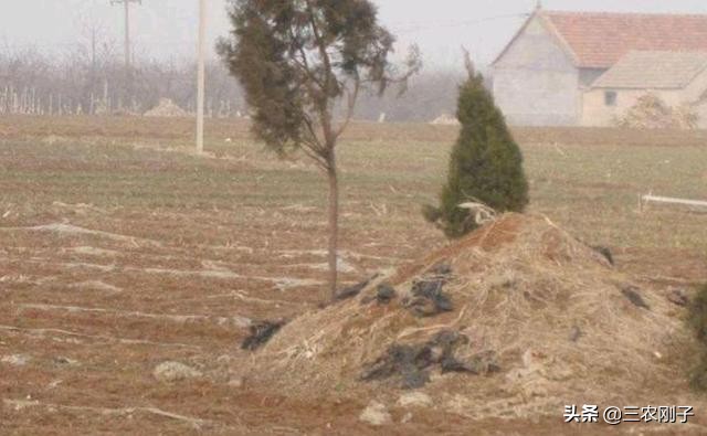 农村房子有坟墓怎么处理,农村房屋旁边有人建坟墓怎么处理