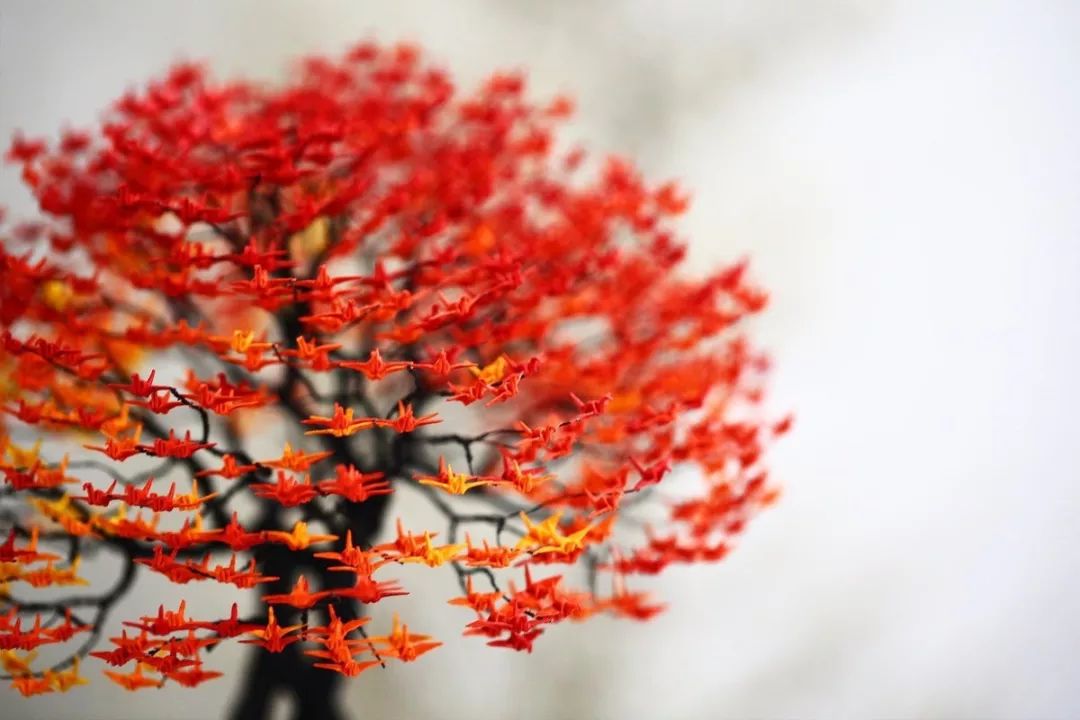 日本千纸鹤折纸,日本折千纸鹤的纸