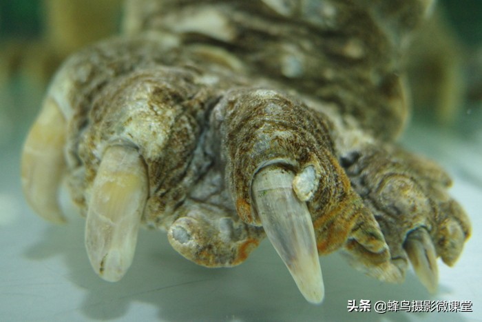 相机测评：理光GR3扫街拍照神器6199元买的不只是情怀