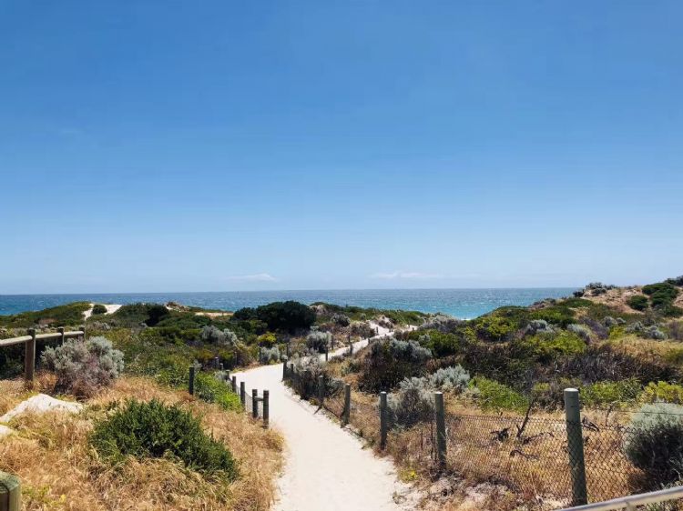 中国去澳洲留学生最新消息,去澳洲的留学生