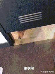 搞笑鸡下蛋恶搞图片,鸡图搞笑图片