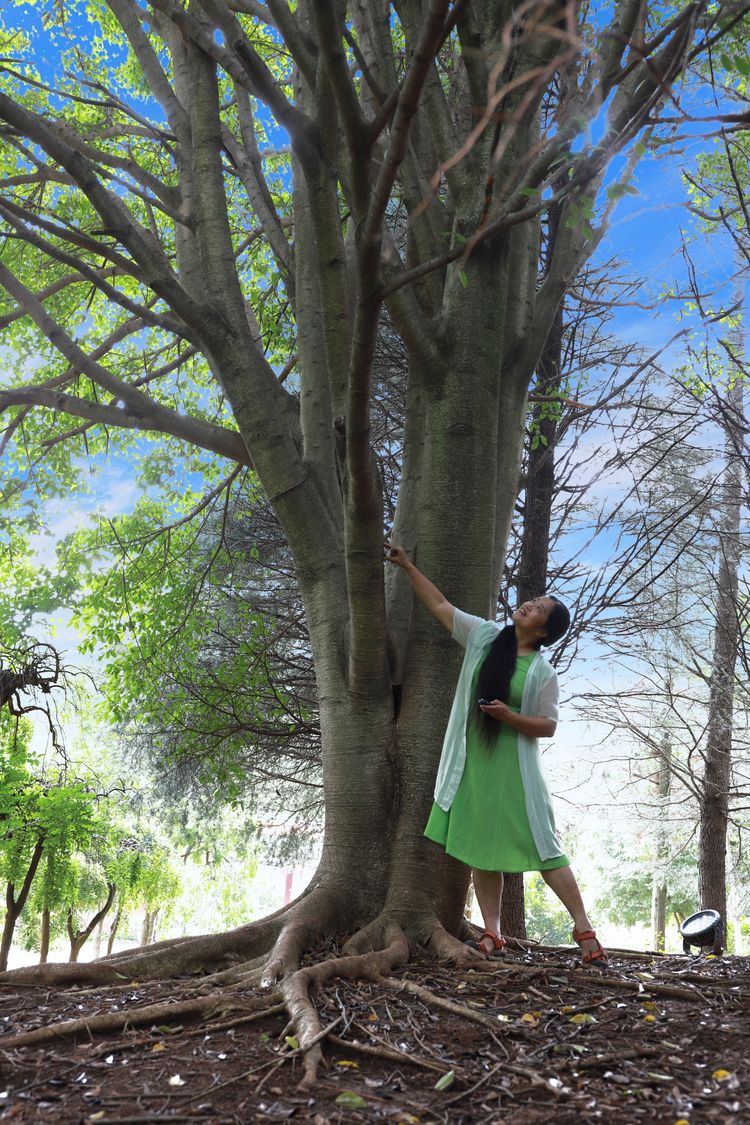 抚仙湖里的小岛,澄江抚仙湖孤山小岛怎么去