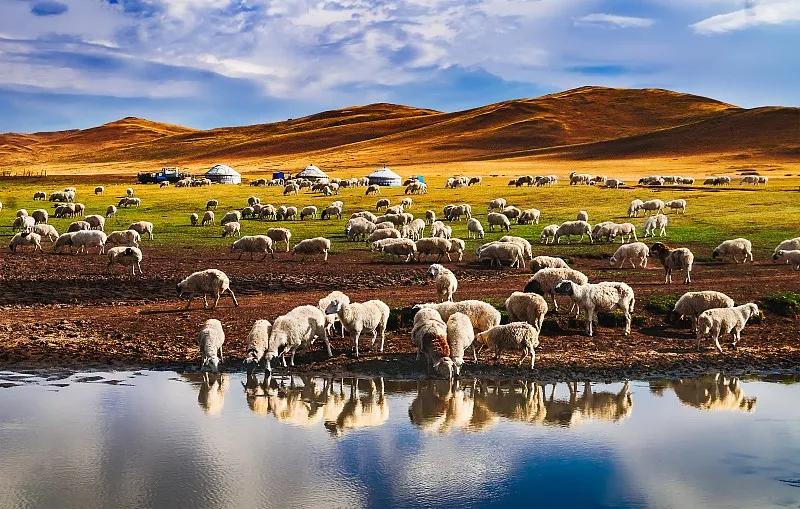 喝奶图“新鲜”？小心这些疾病找上门