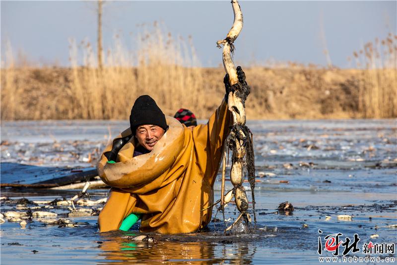 大河之北风景区,大河之北清东陵