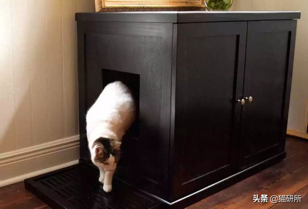 猫砂盆买什么样的最好,猫砂盆选什么的最合适