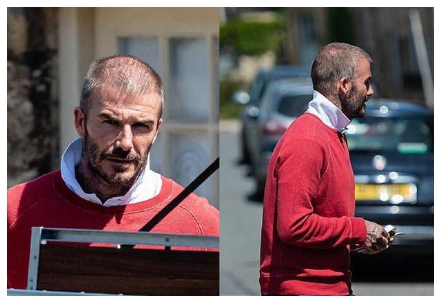 七公主出门不用走路,七公主贝克汉姆