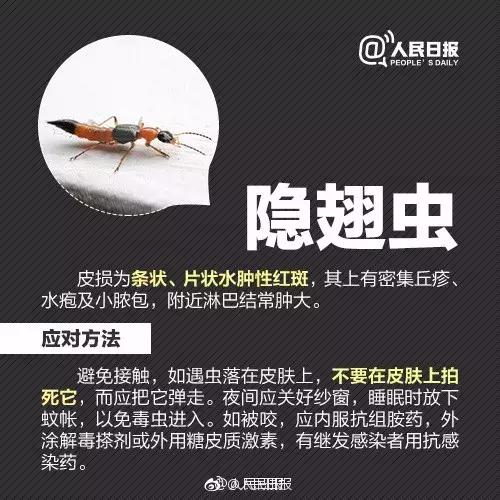 广西一女子被蚂蚁咬伤后不幸身亡,广西姑娘被一只蚂蚁咬到紧急住院