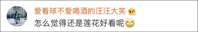 恒大莲花足球场还要继续修吗,恒大足球场最新方案