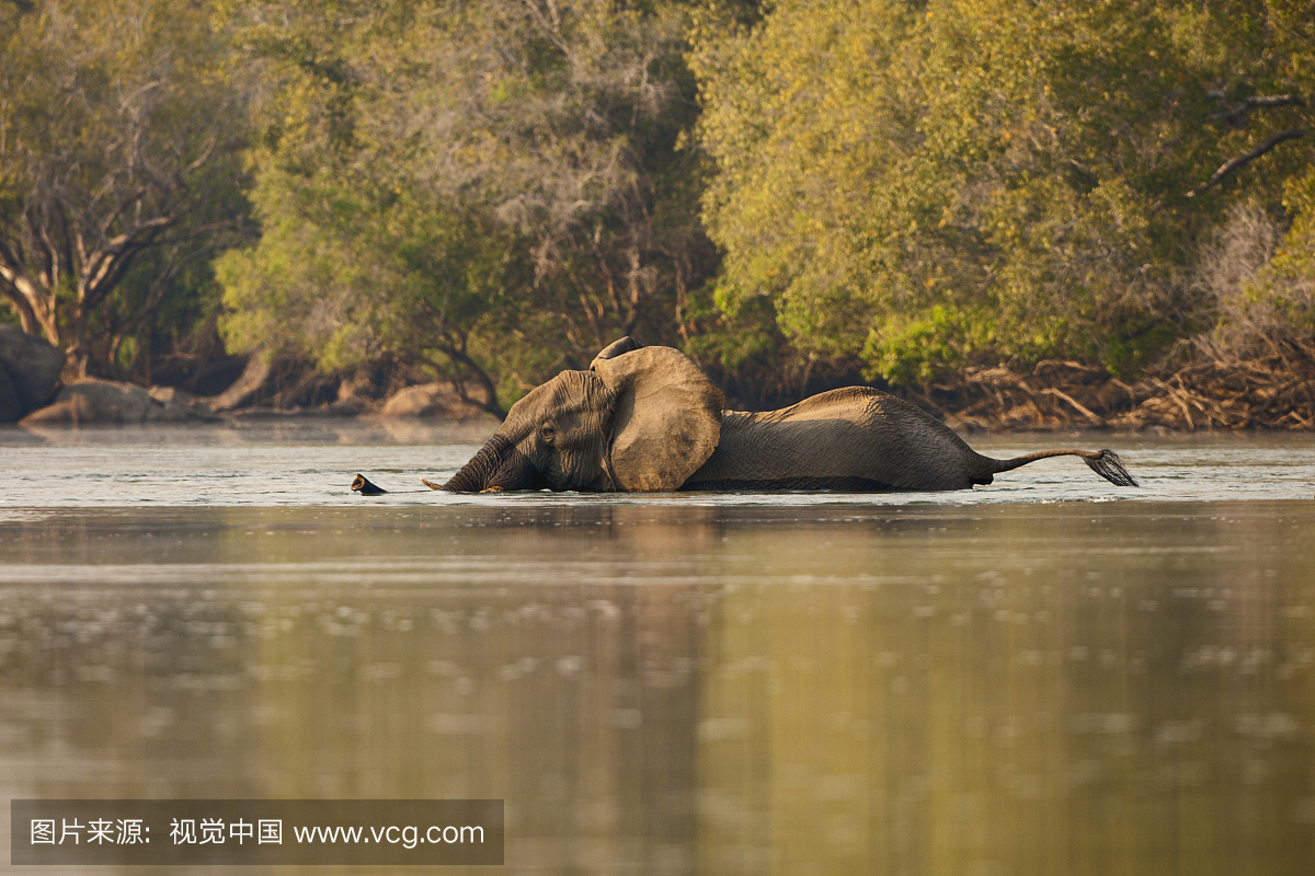 南部非洲最大河流——赞比西河
