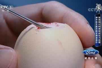 鸡蛋皮缝合手术,缝合鸡蛋膜视频教程