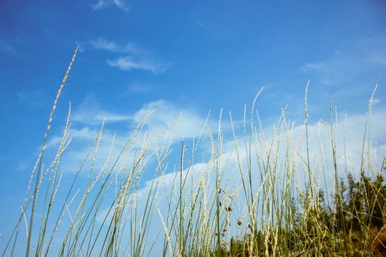 明基sw240和普通显示器区别,明基sw240显示器偏绿