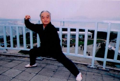 马虹太极完整视频,马虹太极拳借力