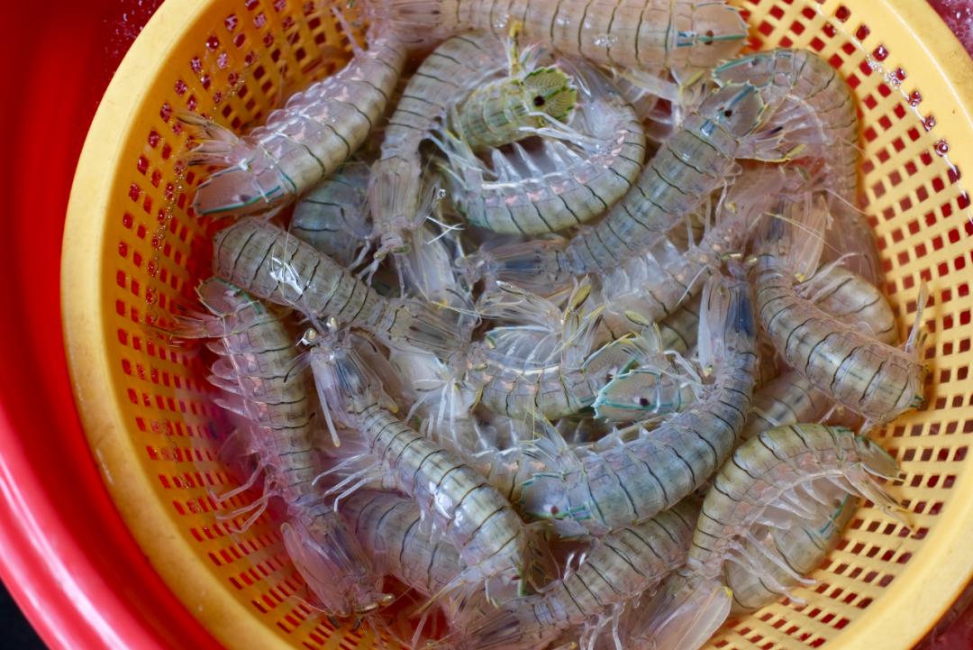 璇ヤ笉璇ュ幓娴峰彛,鏉ュ埌娴峰彛浣犲悗鎮斿悧