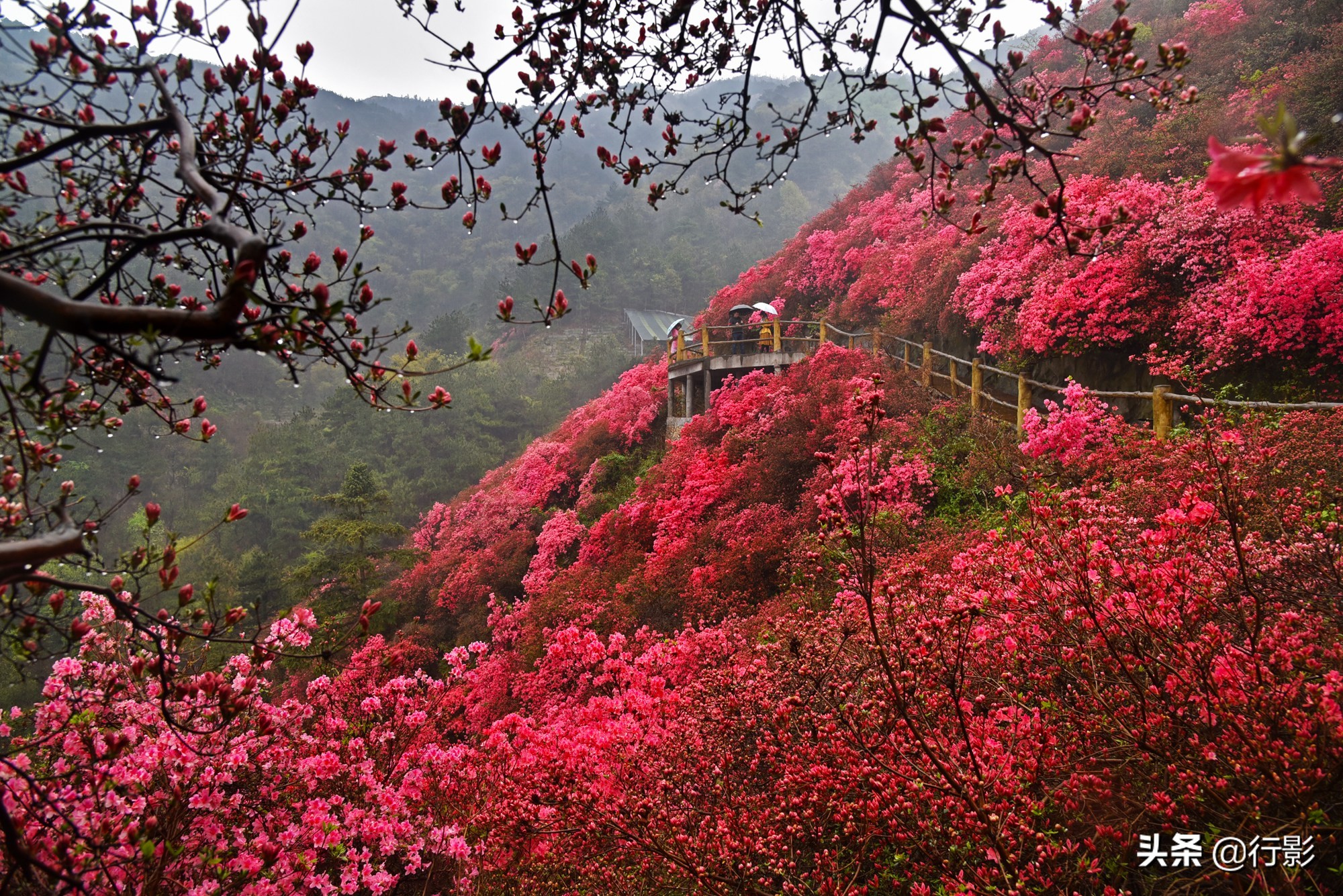 武汉青山网红打卡景点,云雾山武汉