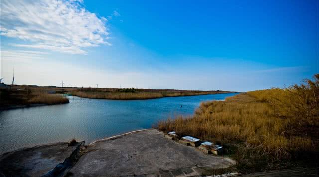 上海自然风光景区推荐,上海知名景点推荐最佳旅游攻略