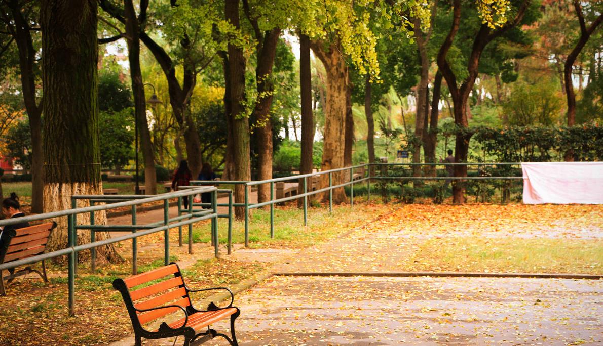 苏州大学2022报考人数,苏州大学有哪些实力强的专业