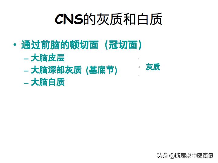 中枢神经系统断层解剖讲解,中枢神经3d解剖动画
