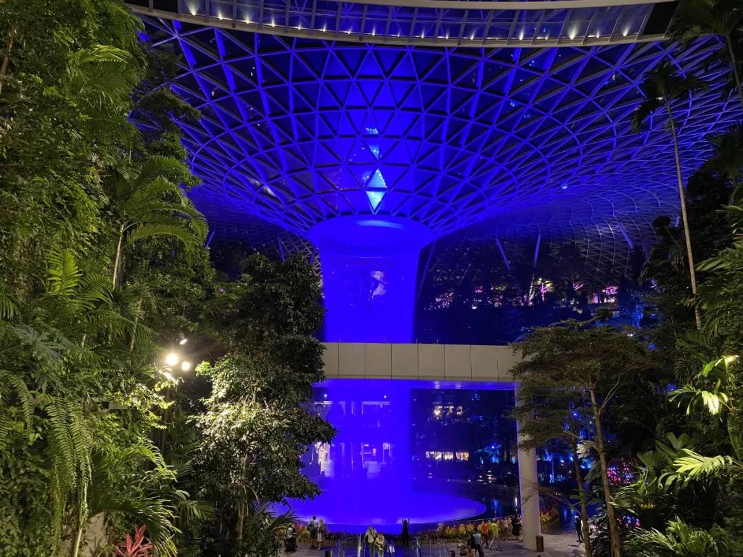 疫情期间去埃及旅游的亲历,疫情期间从深圳直飞洛杉矶体验