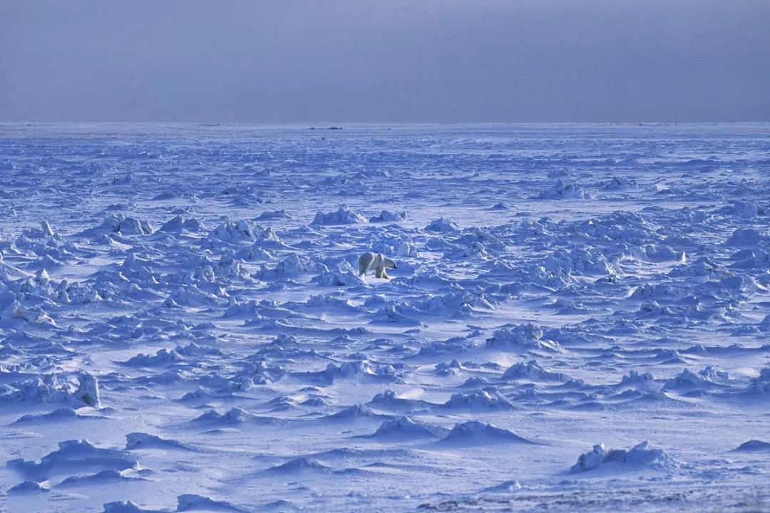 北极光在哪里才看得到,北极光在哪看比较好