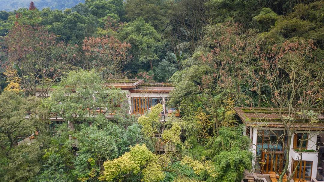 柏联酒店全国多少个,柏联酒店哪家最好