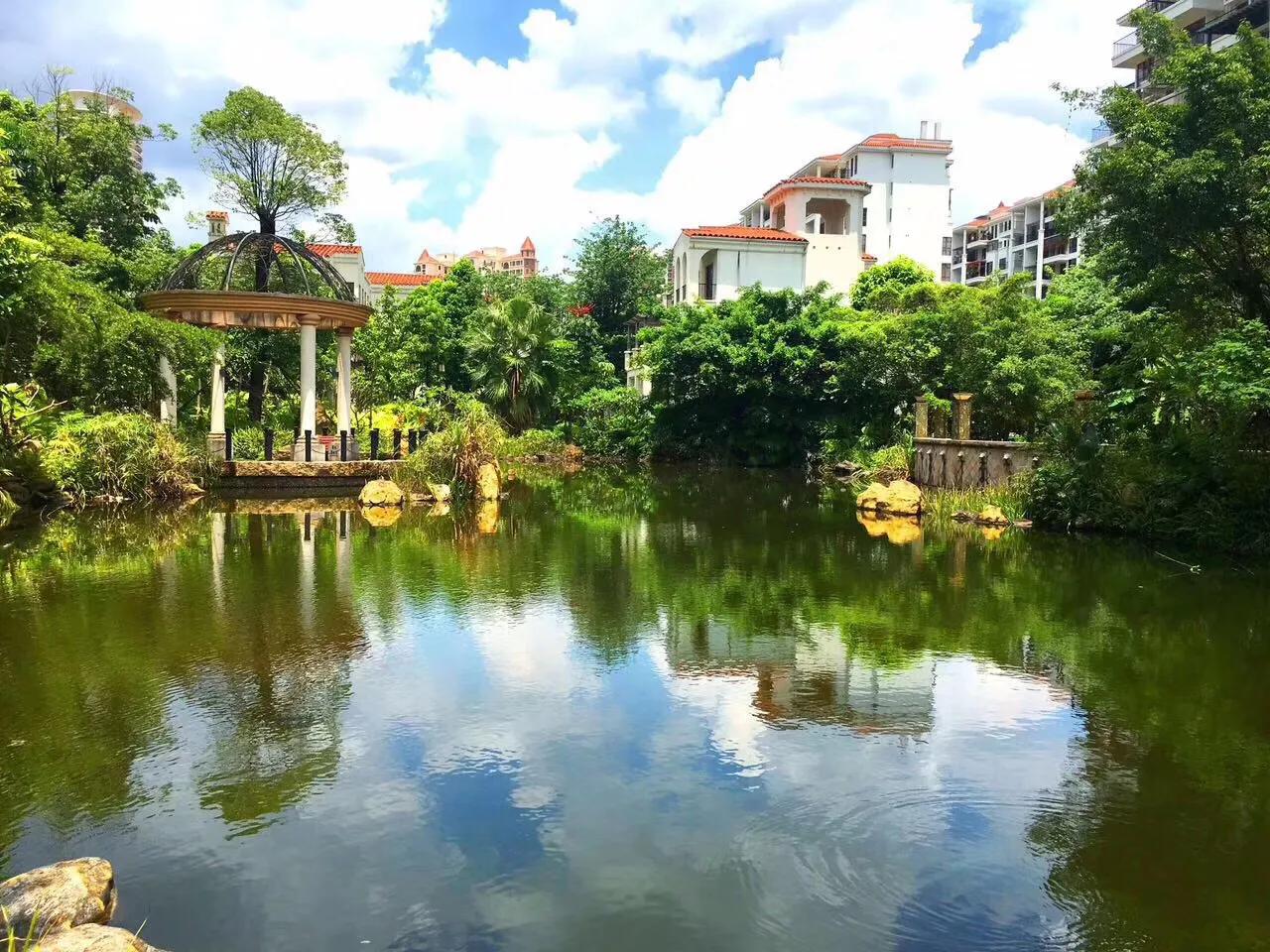 临深高端大盘,百万中心大盘