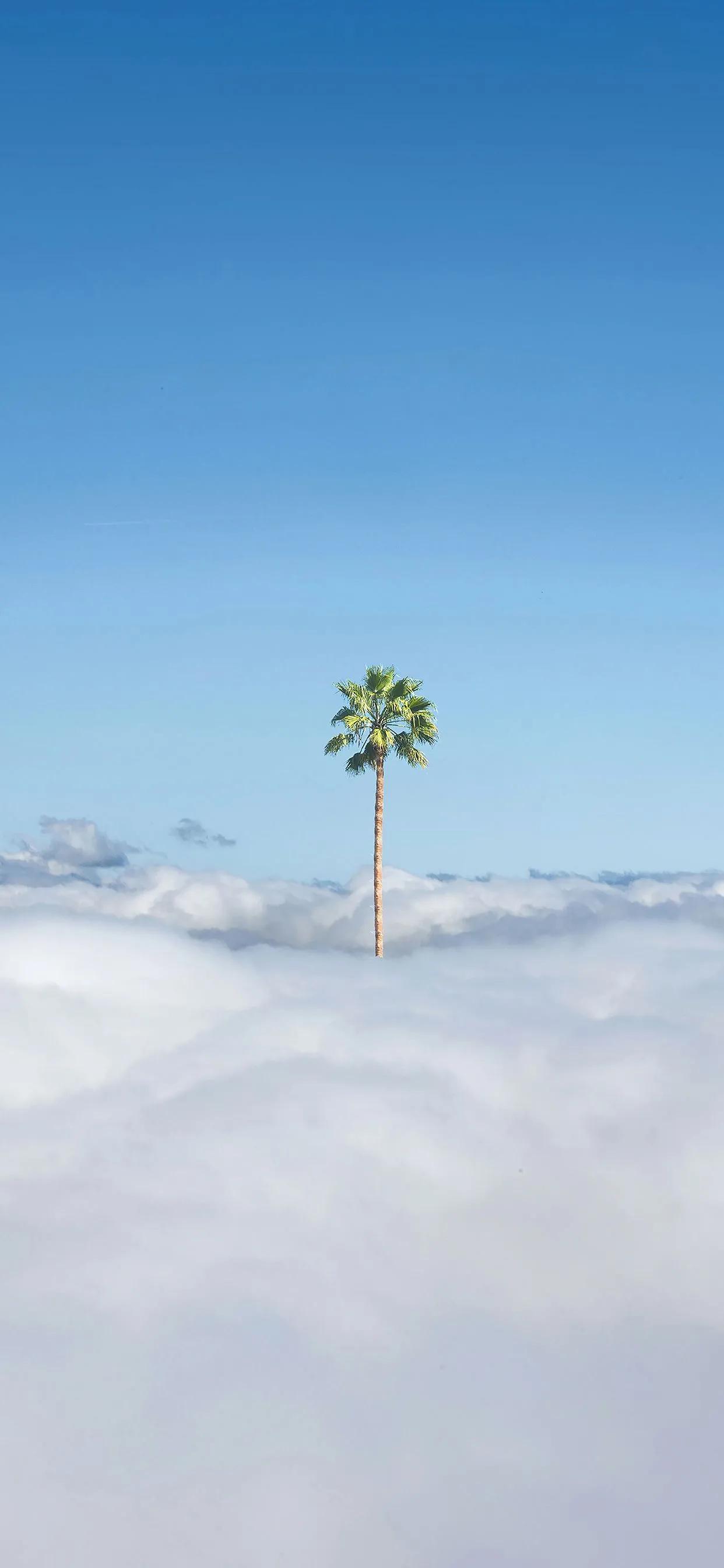 让人很惊艳的微信壁纸,2021独一无二微信背景高清壁纸