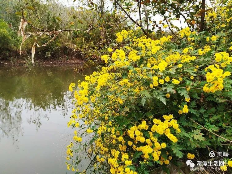 最美大浪山脚下蜂洞冲随州作者:王从伦